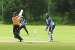 cricket-6-7-14.jpg