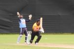 cricket-6-7-13.jpg